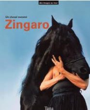 Zingaro affiche